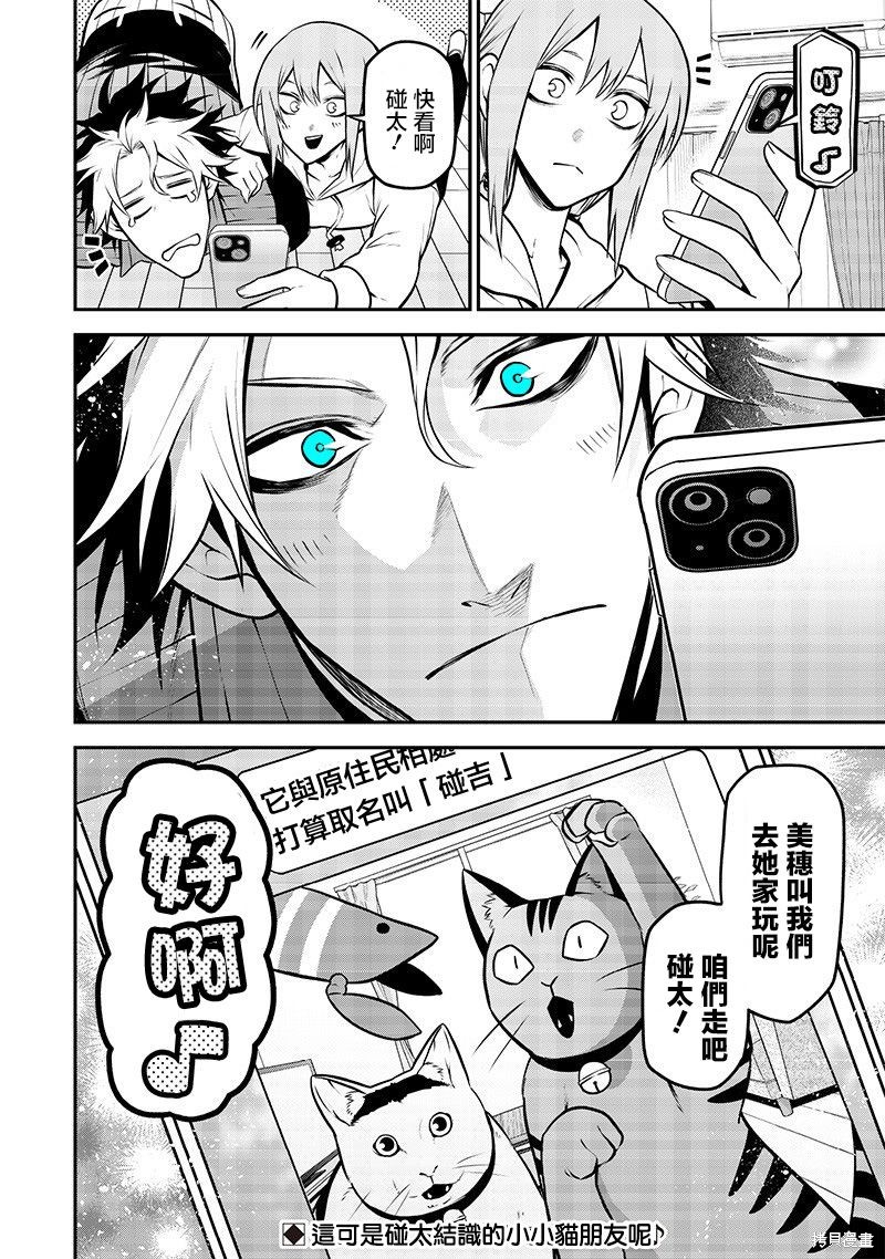 捡猫篇15