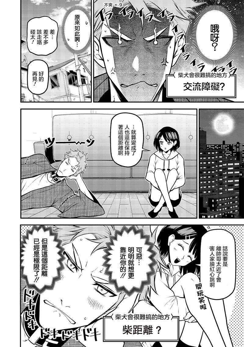 柴犬篇10