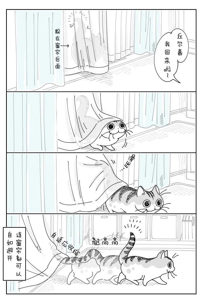第218话3