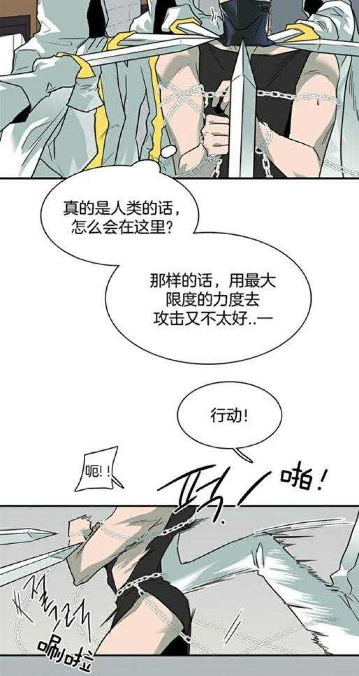 第219话16