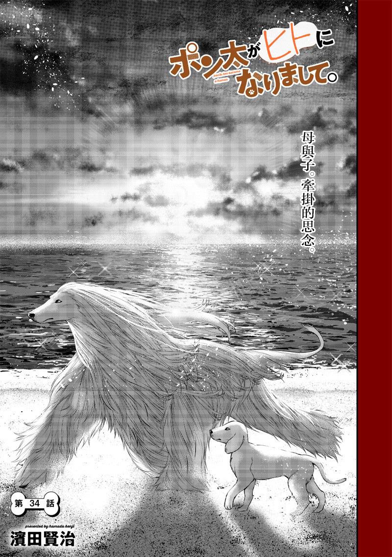 云雀的追忆后篇1