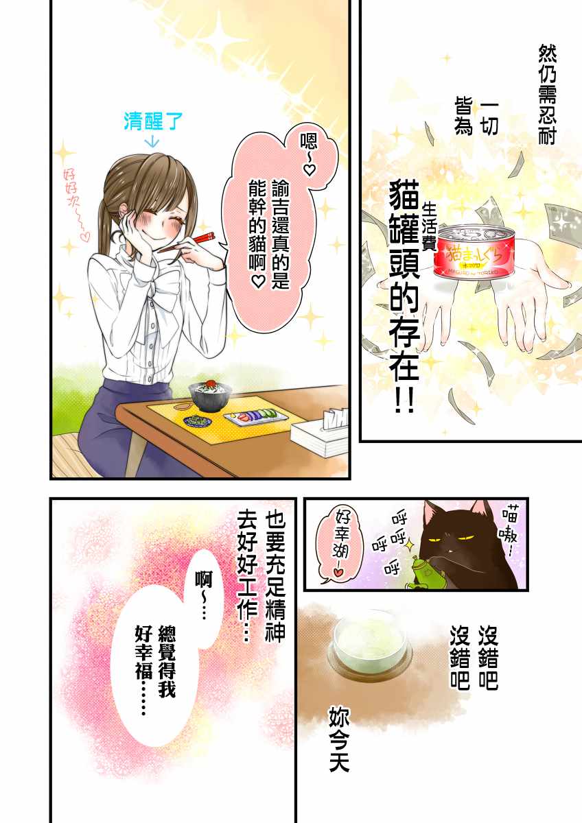 能干的猫 彩版番外9