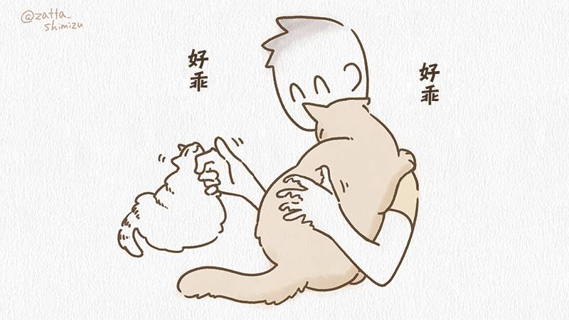 作者自创 夏日一杯猫7