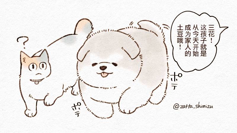 作者自创 猫与狗1