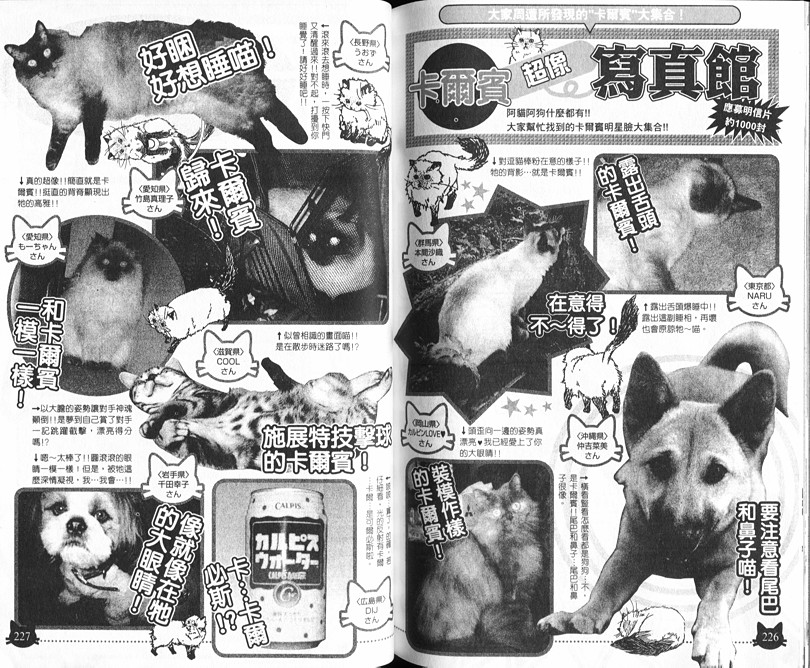 网球王子公式FANBOOK10.511