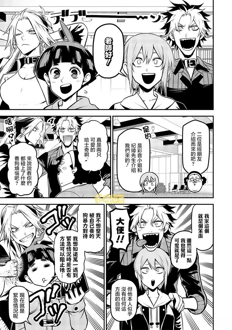 哈士奇很聪明篇3