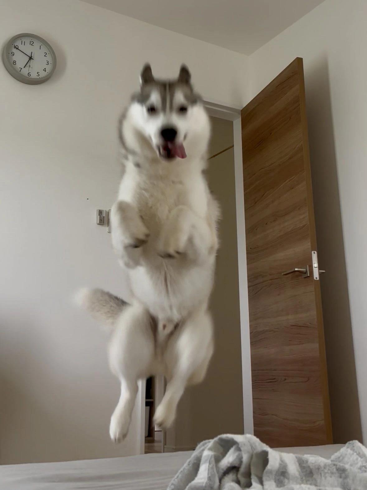 黑铁的回忆篇30