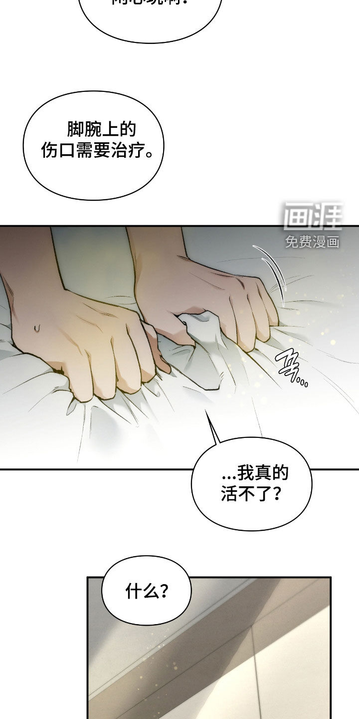 第41话41