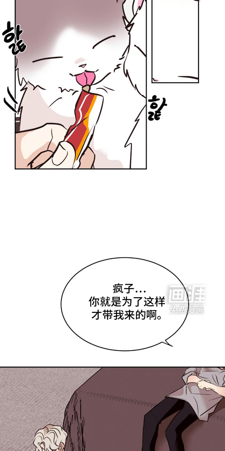 第49话8