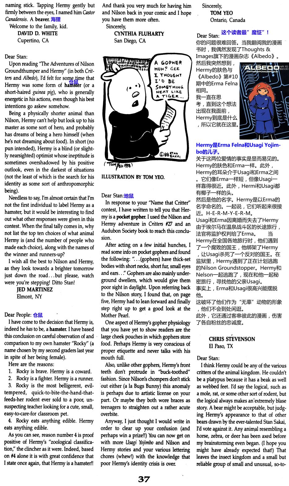 盲猪剑客归来42