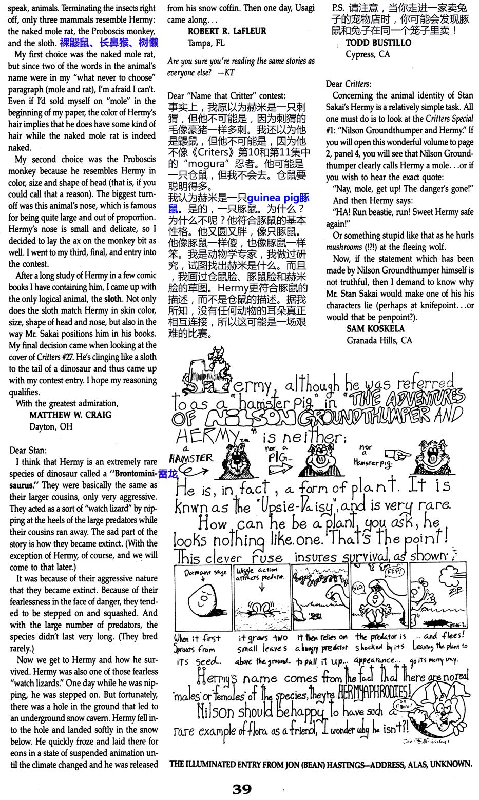 盲猪剑客归来45