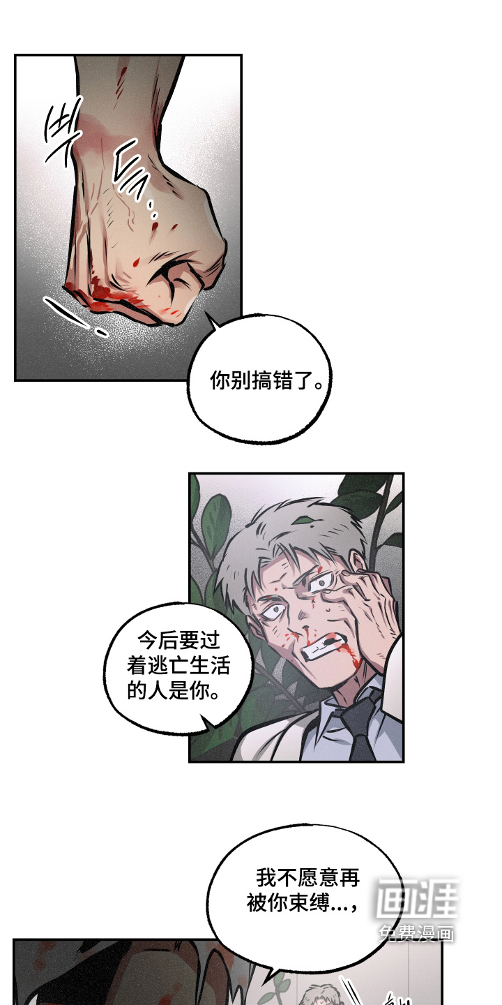 第116话4