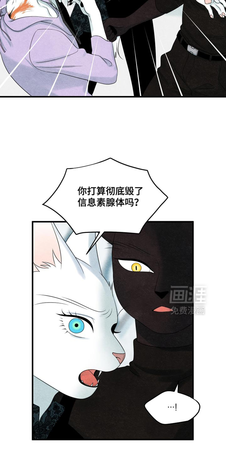 第171话9