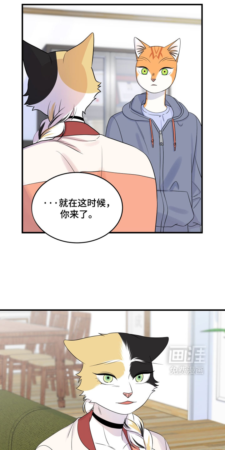 第179话11
