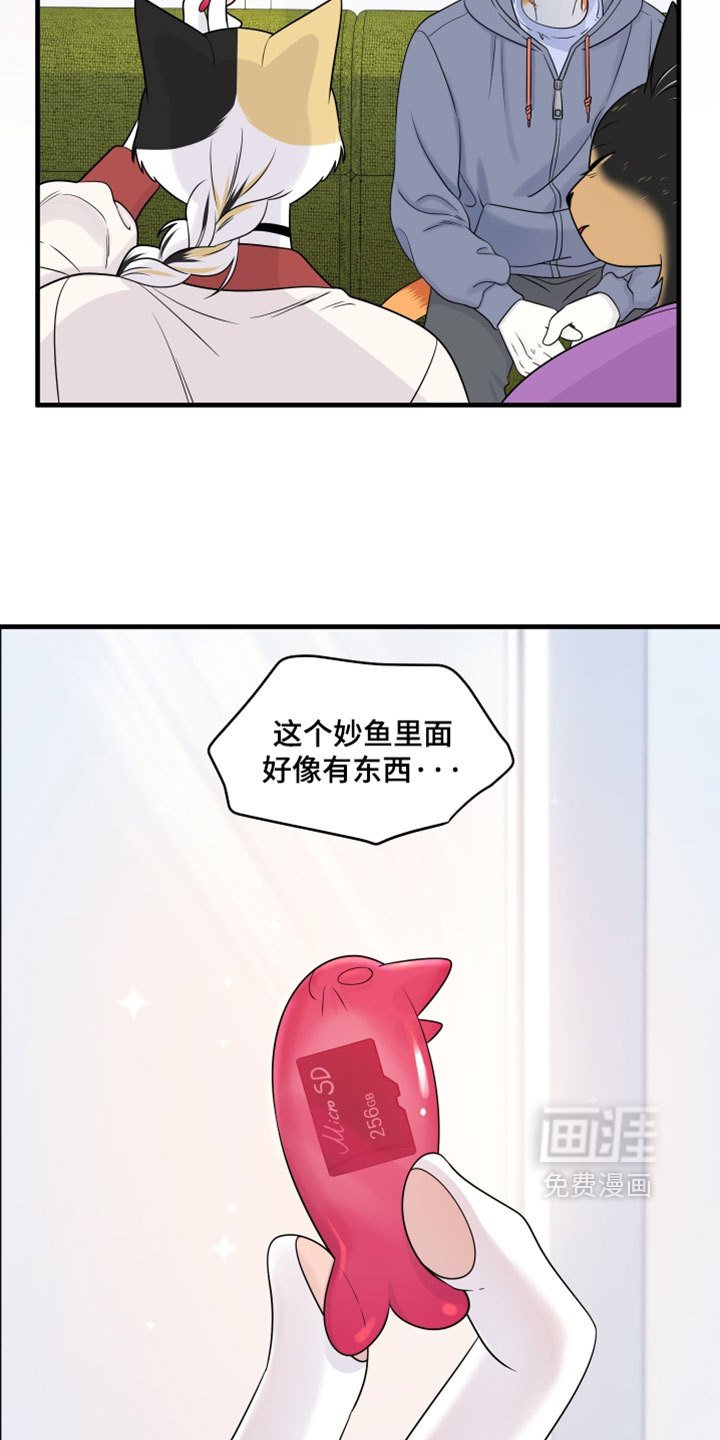 第178话10