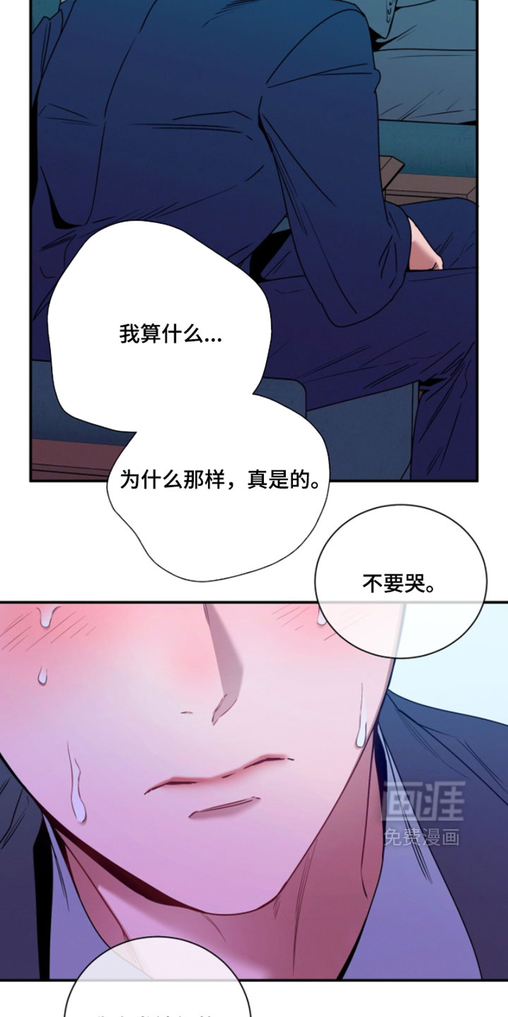 第217话17