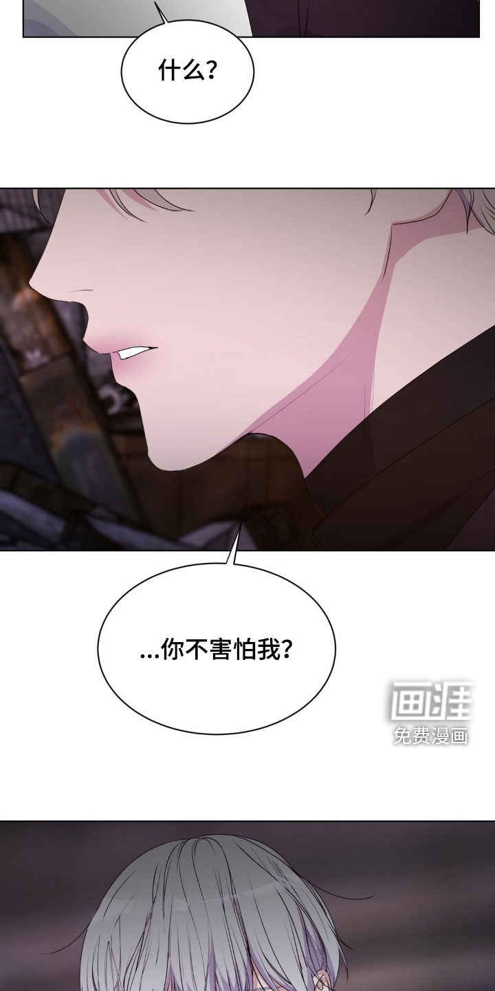 第88话17