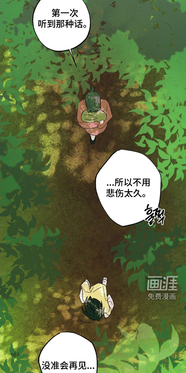 第35话8