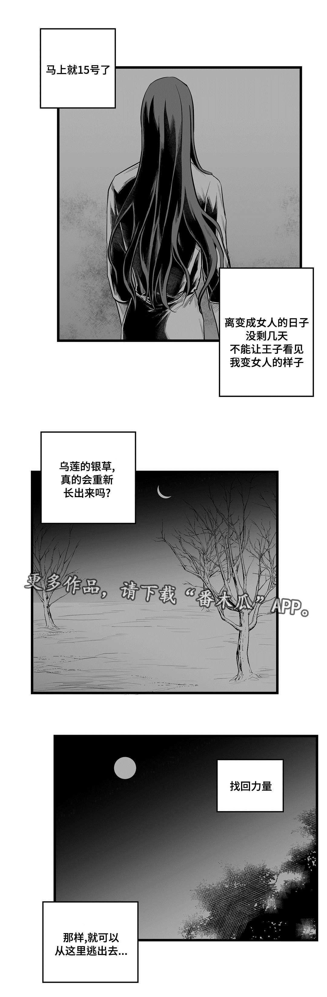 第39话13