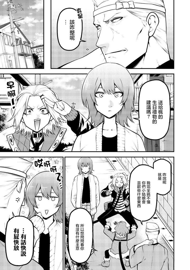 玩具贵宾犬生日篇3