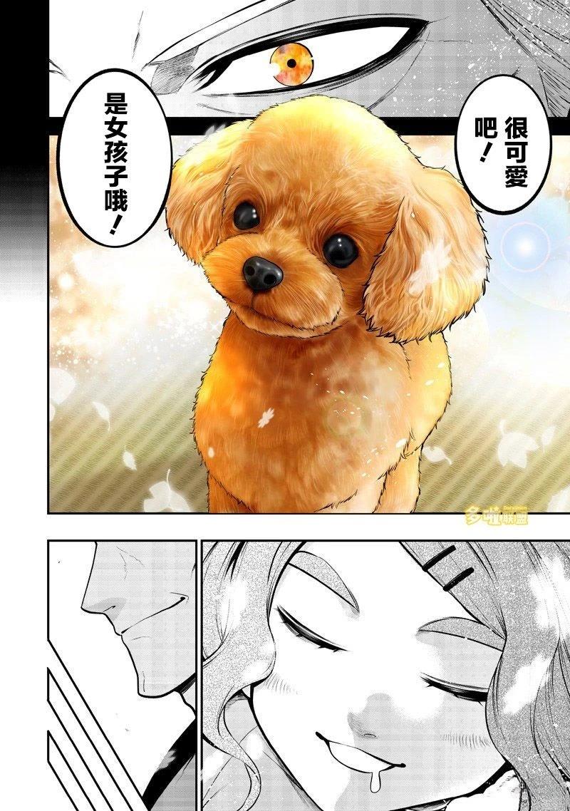 玩具贵宾犬生日篇8