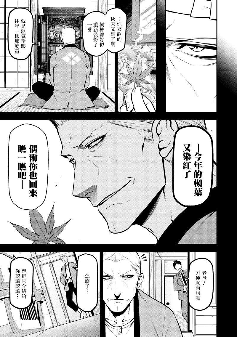 玩具贵宾犬生日篇7