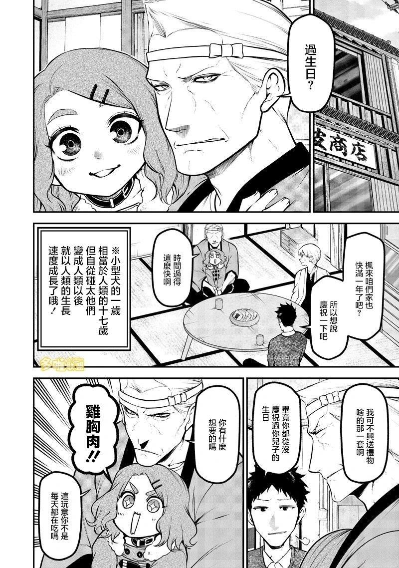 玩具贵宾犬生日篇2