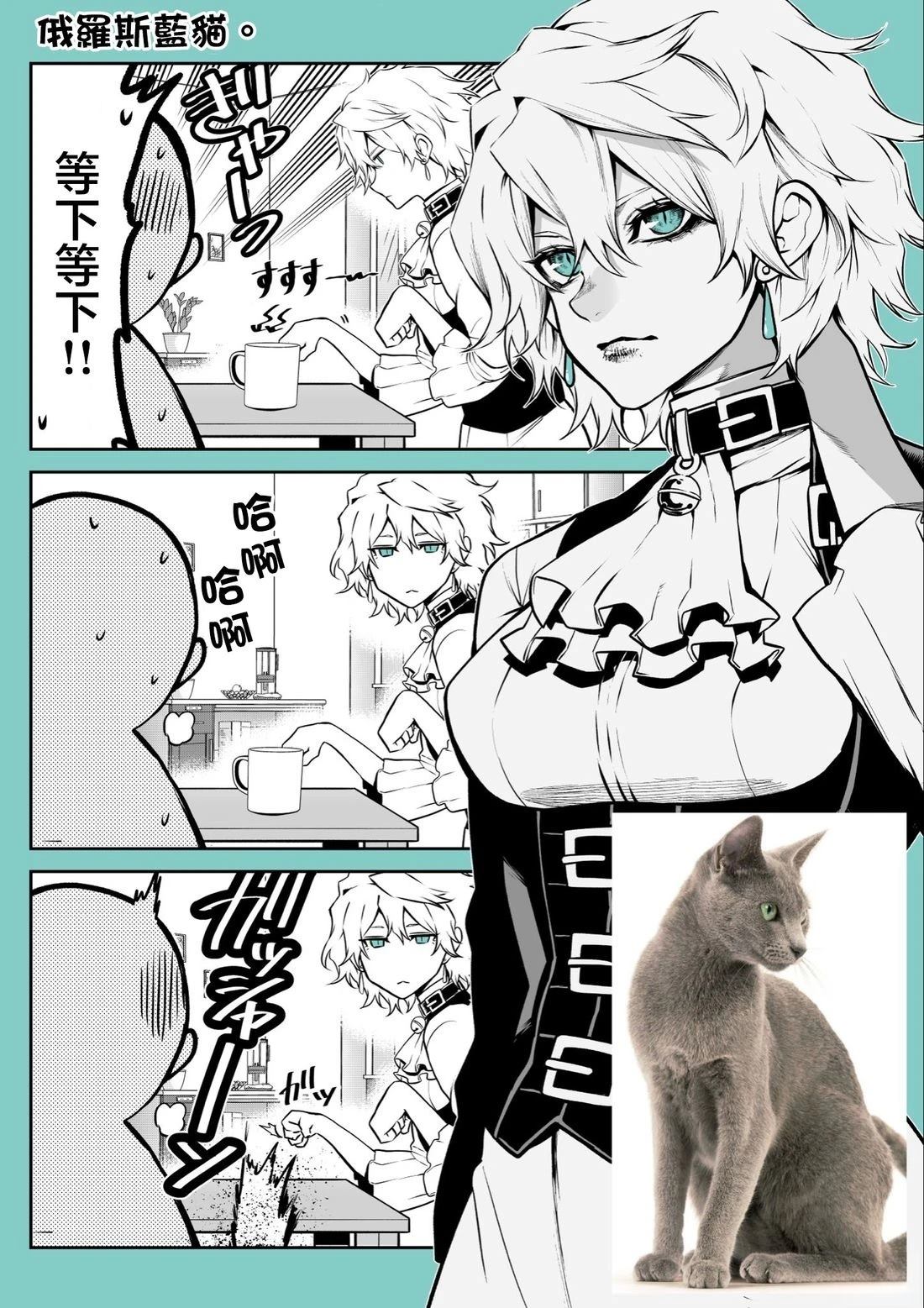 玩具贵宾犬生日篇12