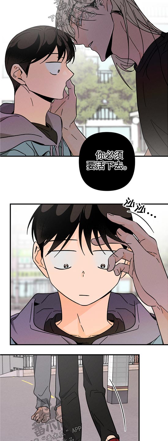 第49话11