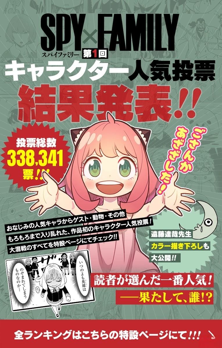 官方人气投票结果1