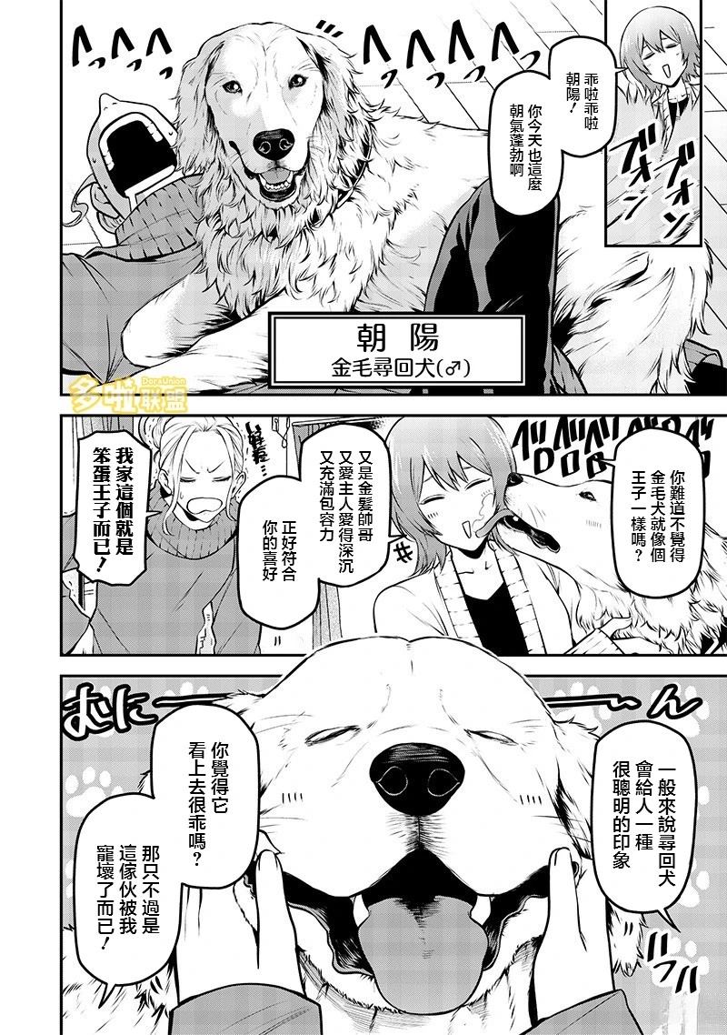 金毛篇4