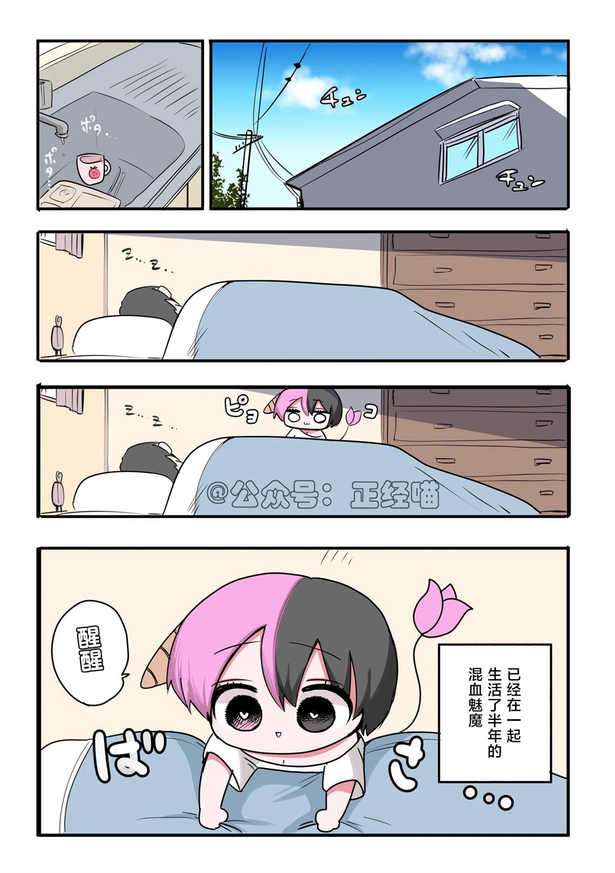 混血魅魔与购物011