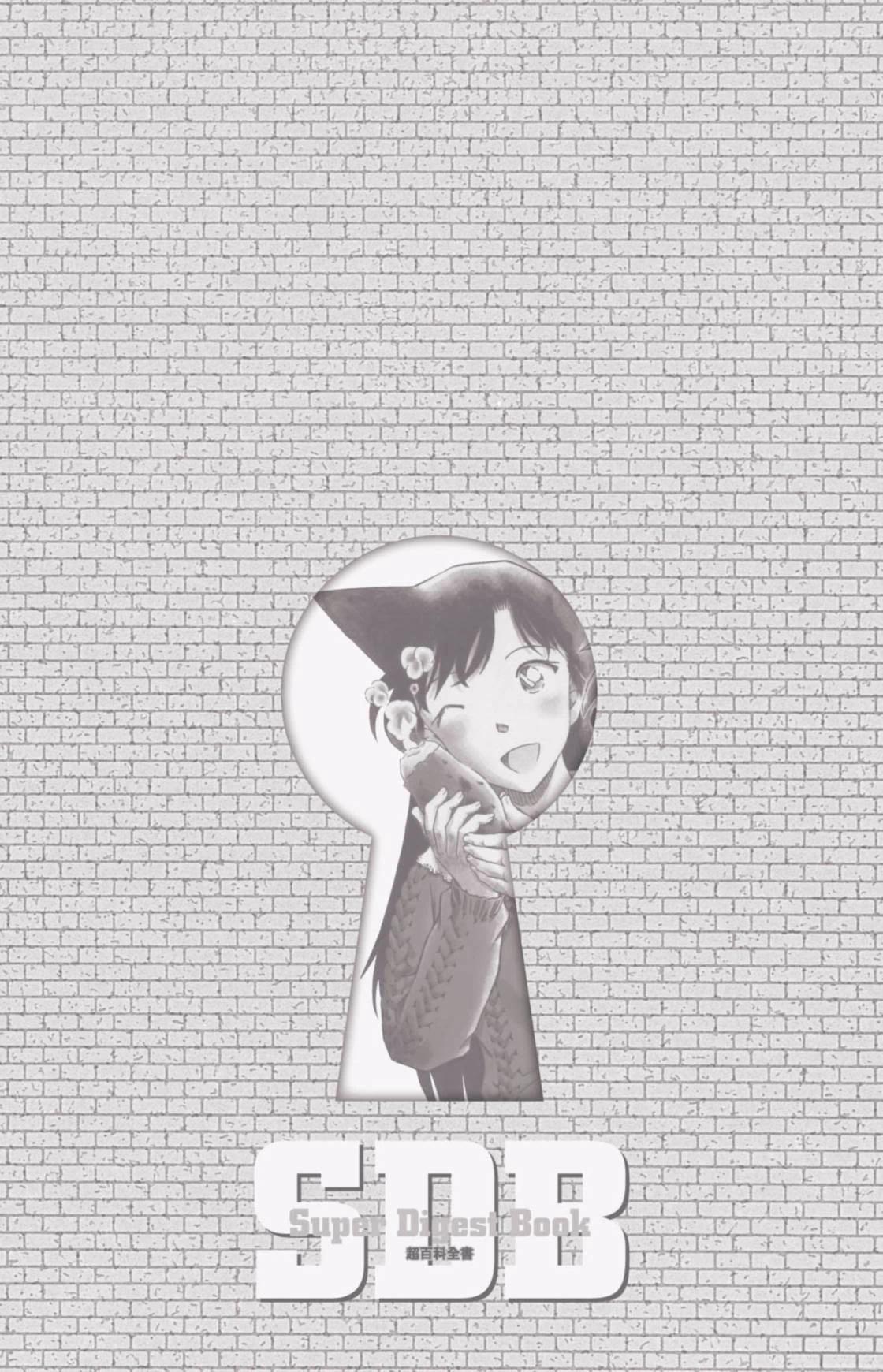 名侦探柯南 超百科全书191