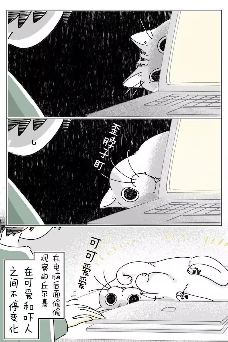 第260话3