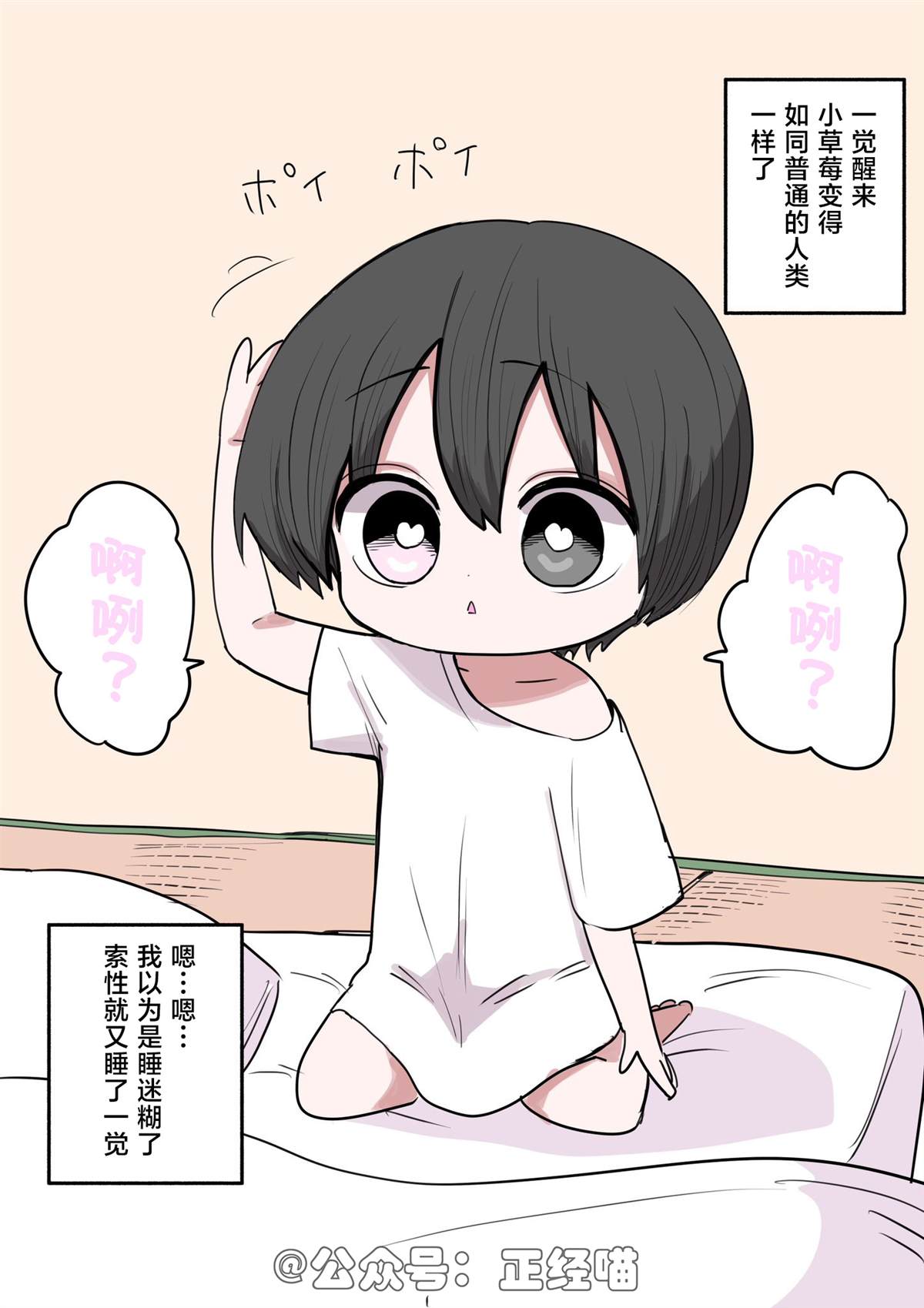 混血魅魔与巧克力2