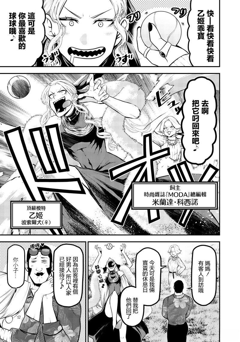 波索尔犬女优出道篇5