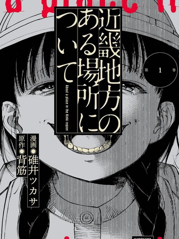 关于近畿地区的某个地方