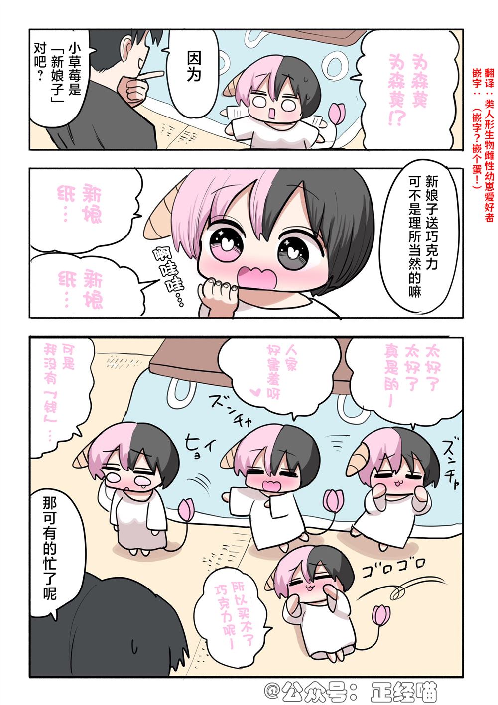 混血魅魔与巧克力083