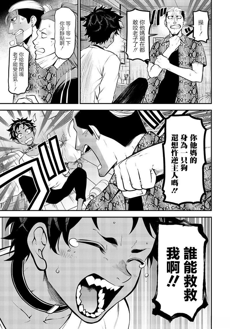 阿威的愿望后篇3