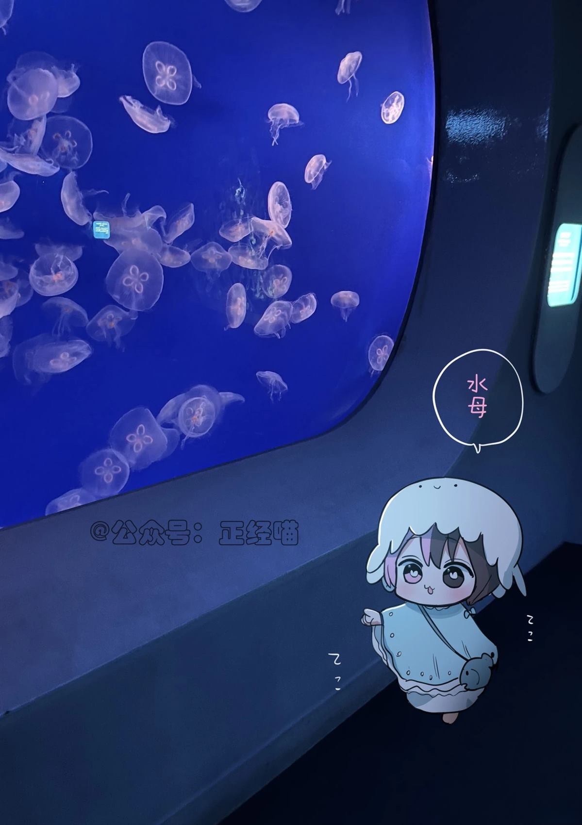 现实里的小草莓3