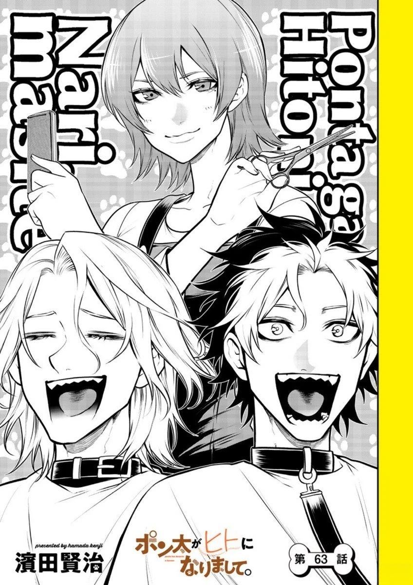 狗狗美容师修行篇1