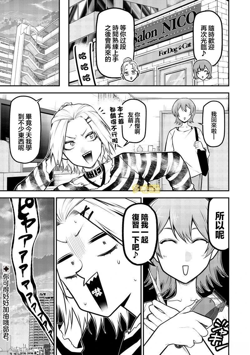 狗狗美容师修行篇15