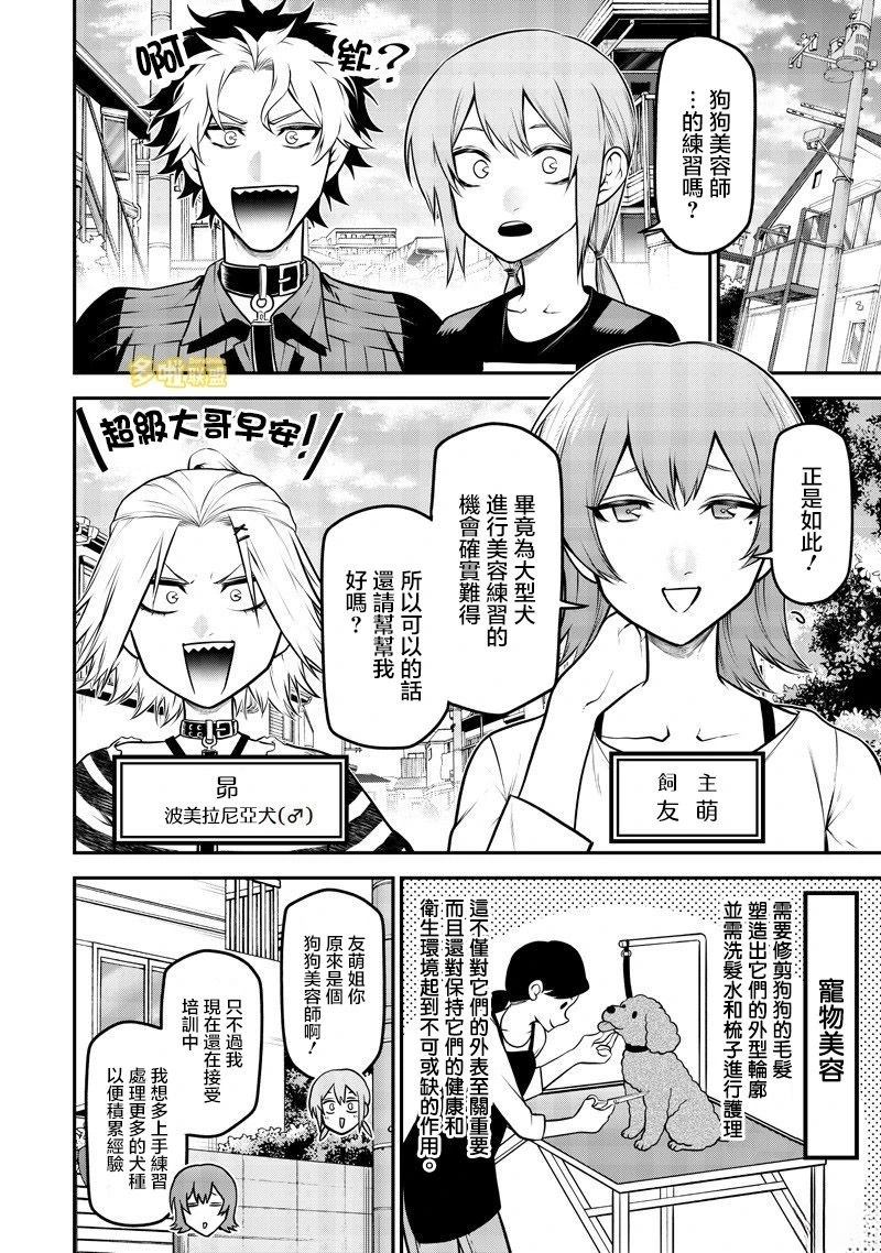 狗狗美容师修行篇2