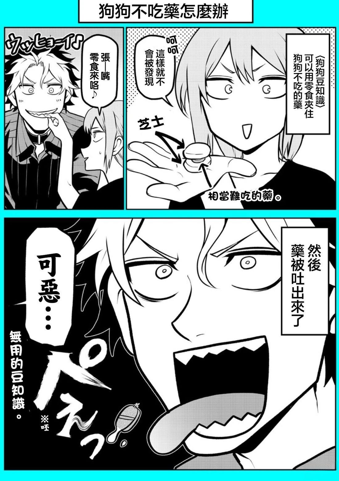 狗狗美容师修行篇17