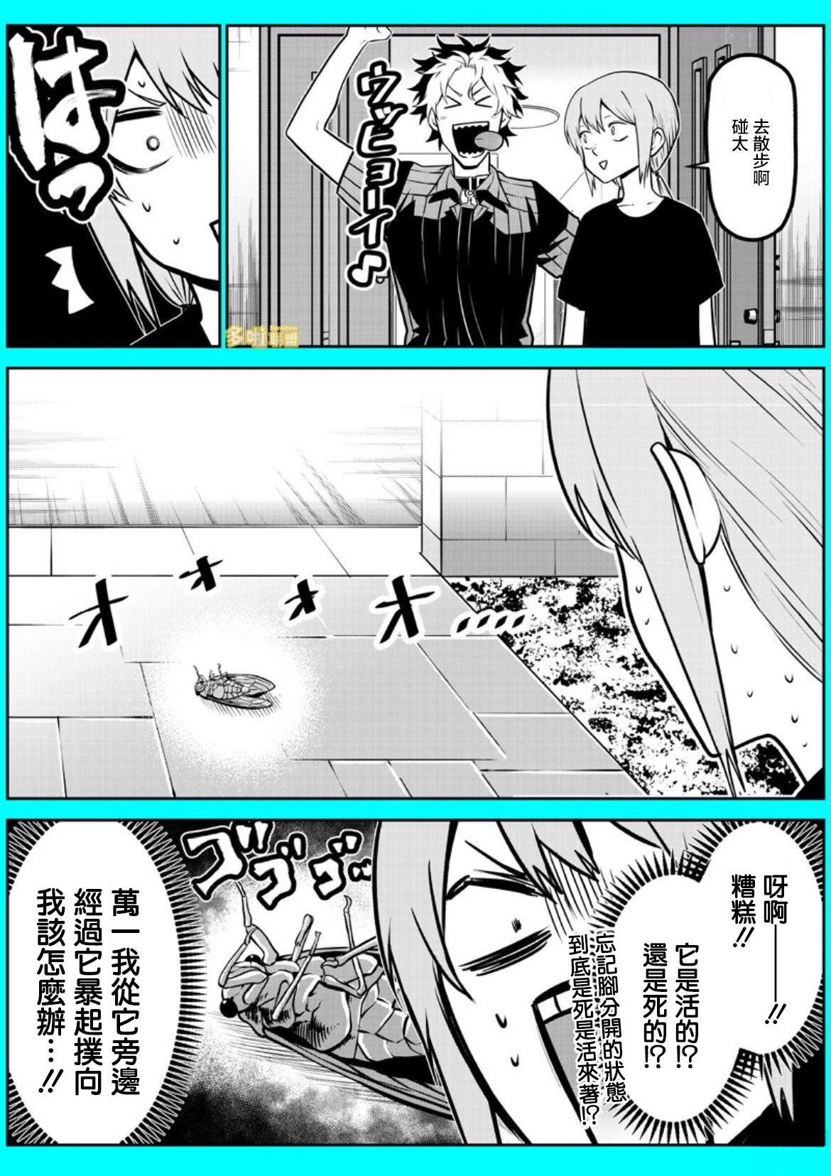 边牧研究报告篇15