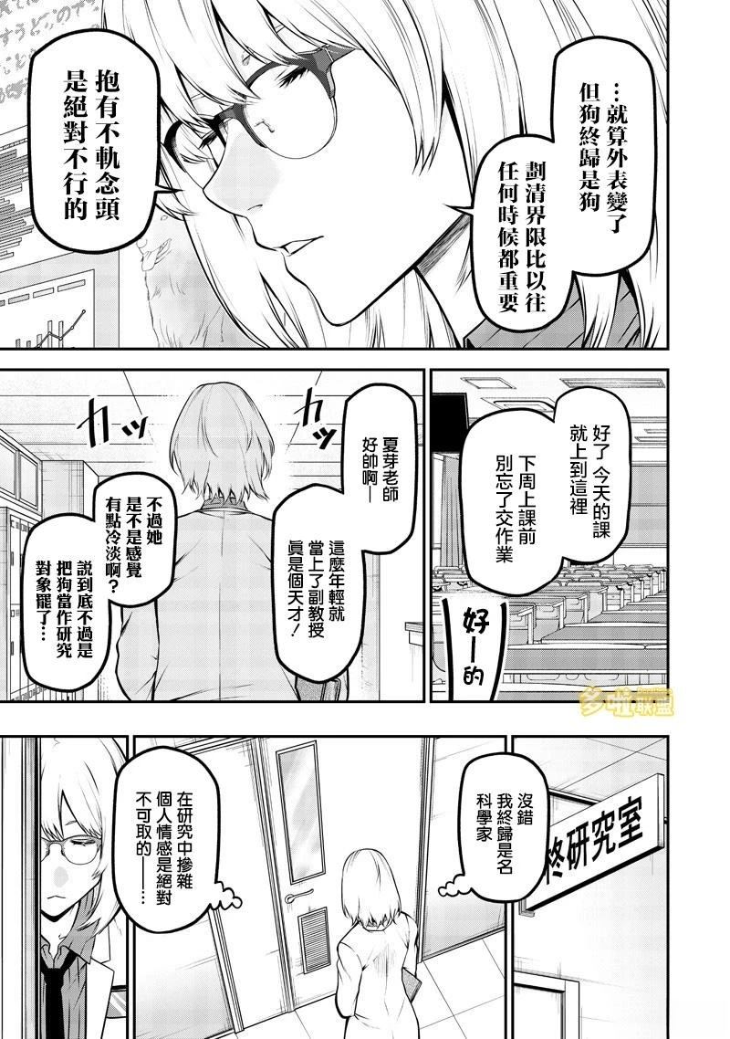 边牧研究报告篇3