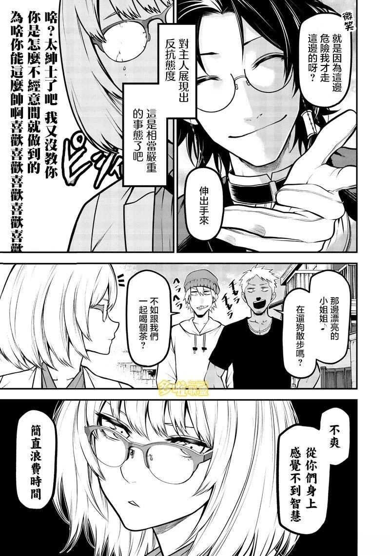 边牧研究报告篇7