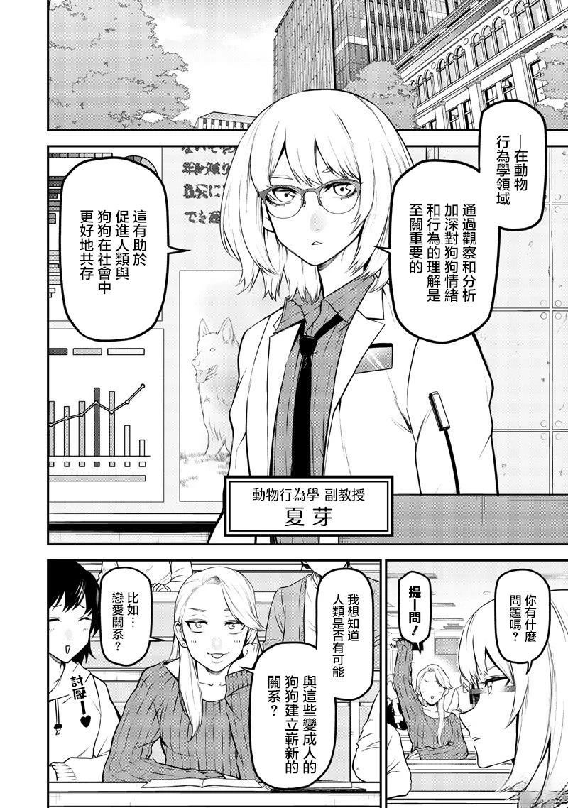 边牧研究报告篇2