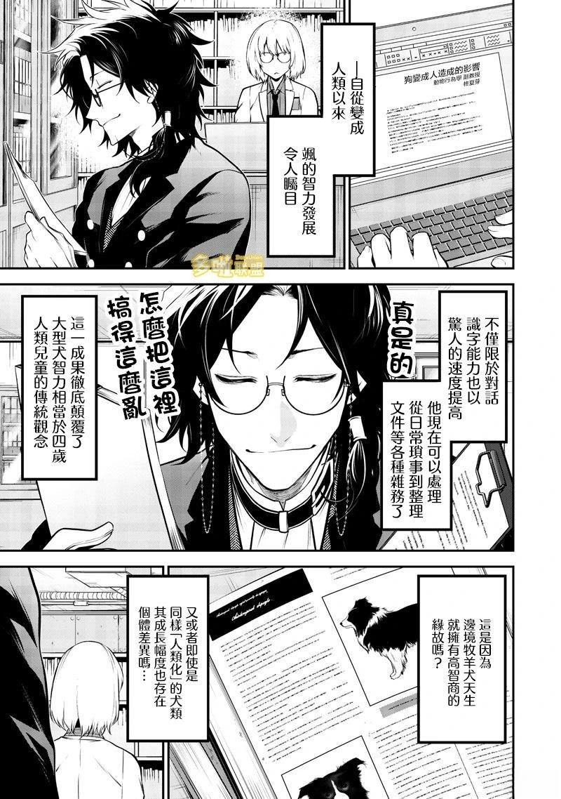 边牧研究报告篇5