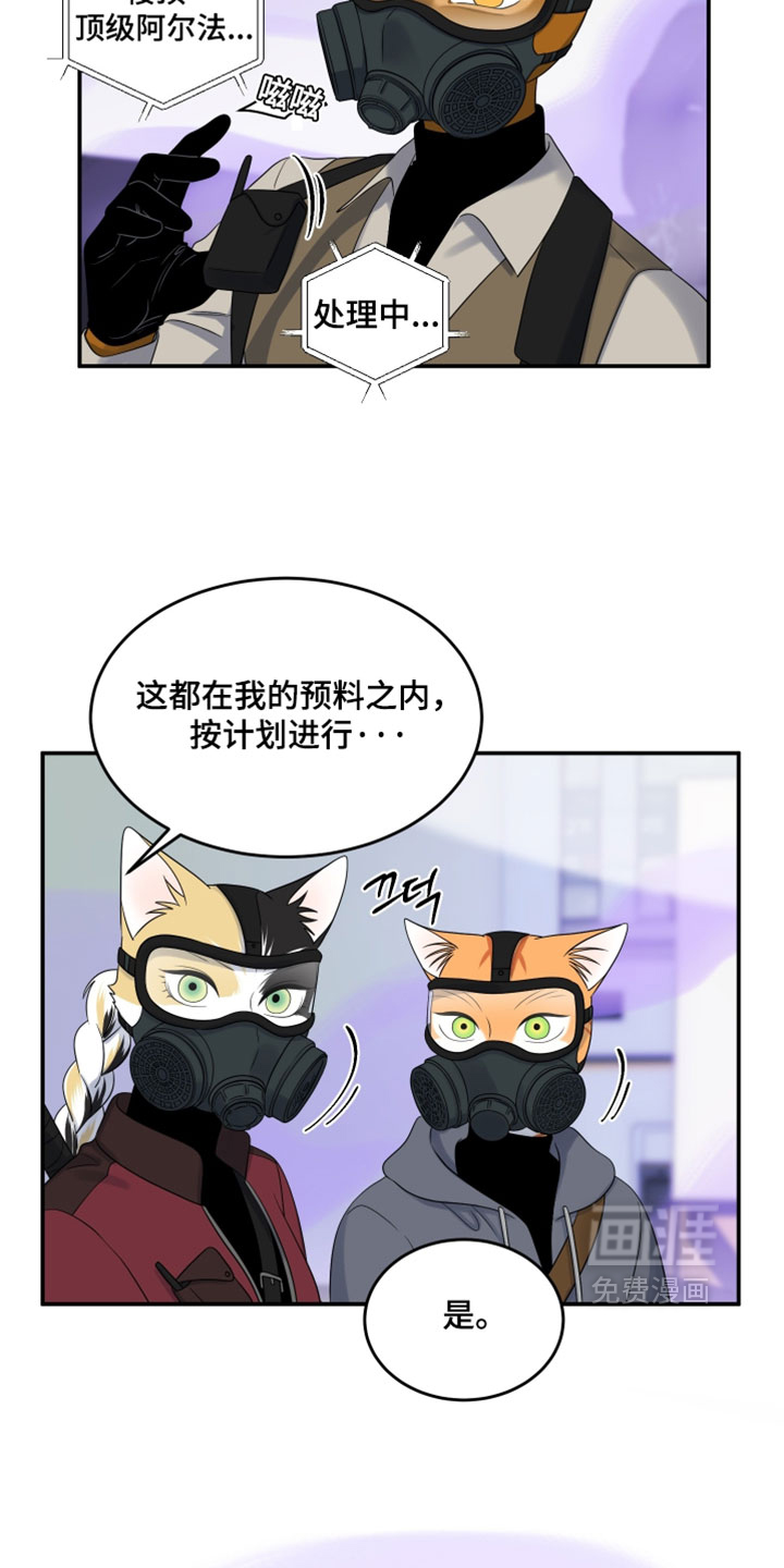 第191话13